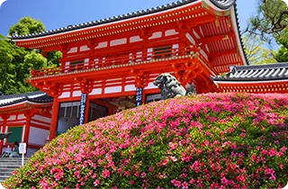 八坂神社 徒歩10分